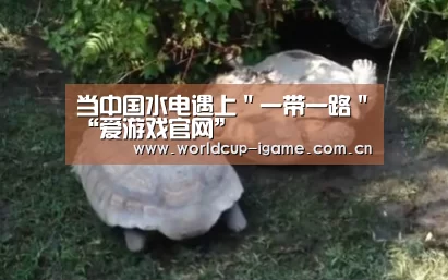 当中国水电遇上"一带一路"“爱游戏官网”(图4) 爱游戏