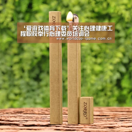 ‘爱游戏体育下载’关注心理健康工程职校举行心理委员培训会(图4) 爱游戏体育下载