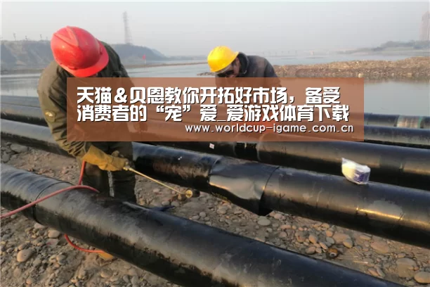 天猫&贝恩教你开拓好市场,备受消费者的“宠”爱_爱游戏体育下载(图1) 爱游戏棋牌
