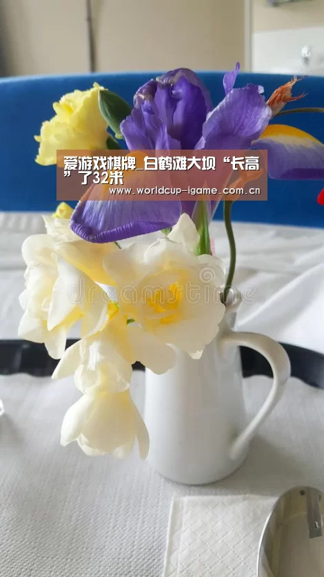 爱游戏