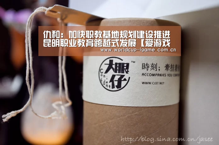 仇和:加快职教基地规划建设推进昆明职业教育跨越式发展【爱游戏体育下载】(图2) 爱游戏