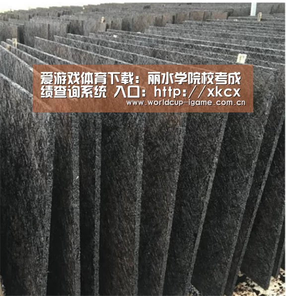 爱游戏体育下载:丽水学院校考成绩查询系统 入口:http://xkcx.lsu.edu.cn/(图3) 爱游戏棋牌